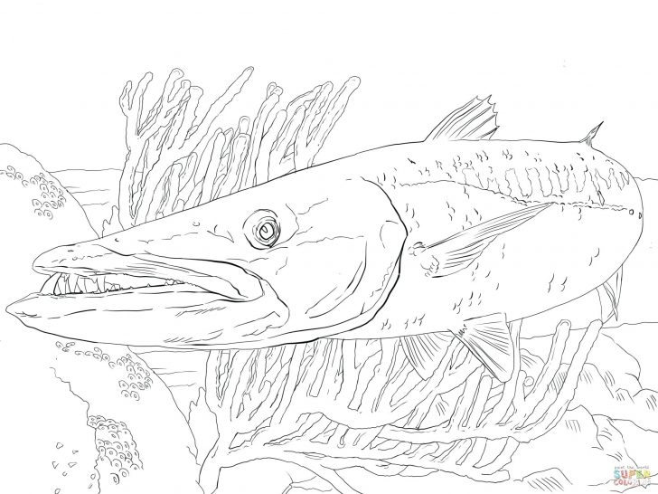 728x546 Man Fishing Coloring Pages Simple Fish Page Many Interesting