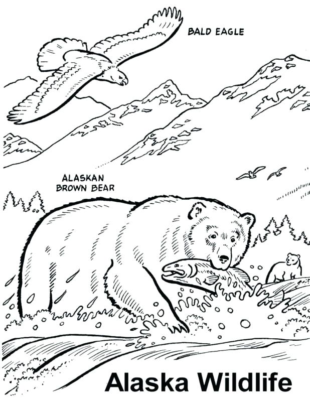 618x801 Saltwater Fish Coloring Pages Saltwater Fish Coloring Pages