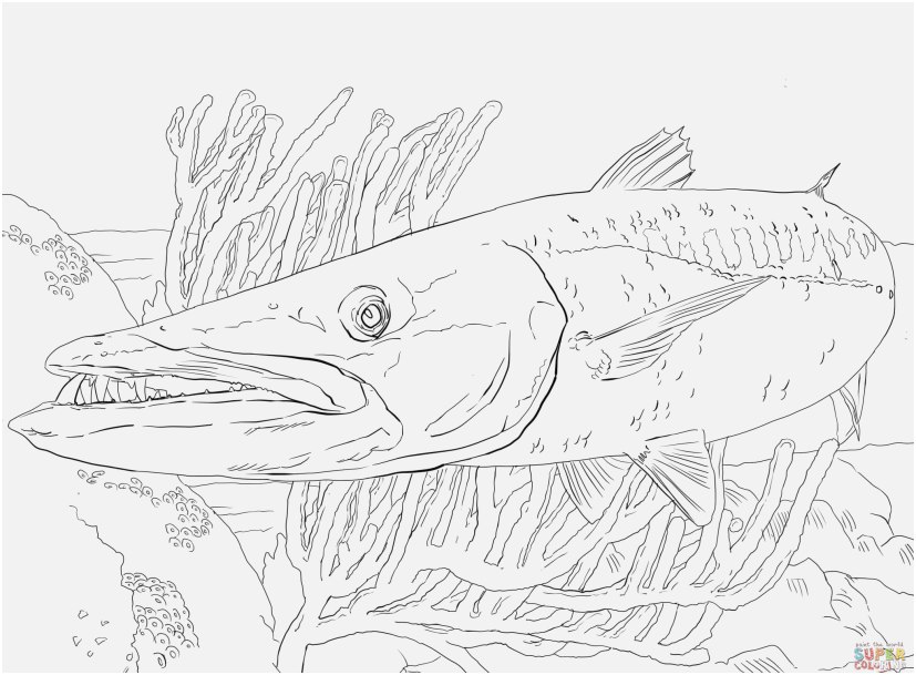827x609 The Superior Footage Fish Coloring Sheet Innovative