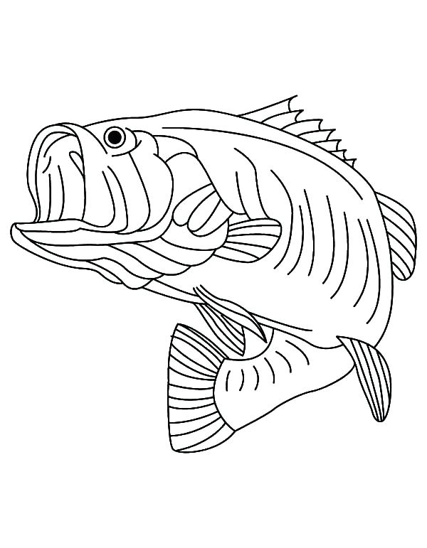 600x771 Bass Coloring Pages