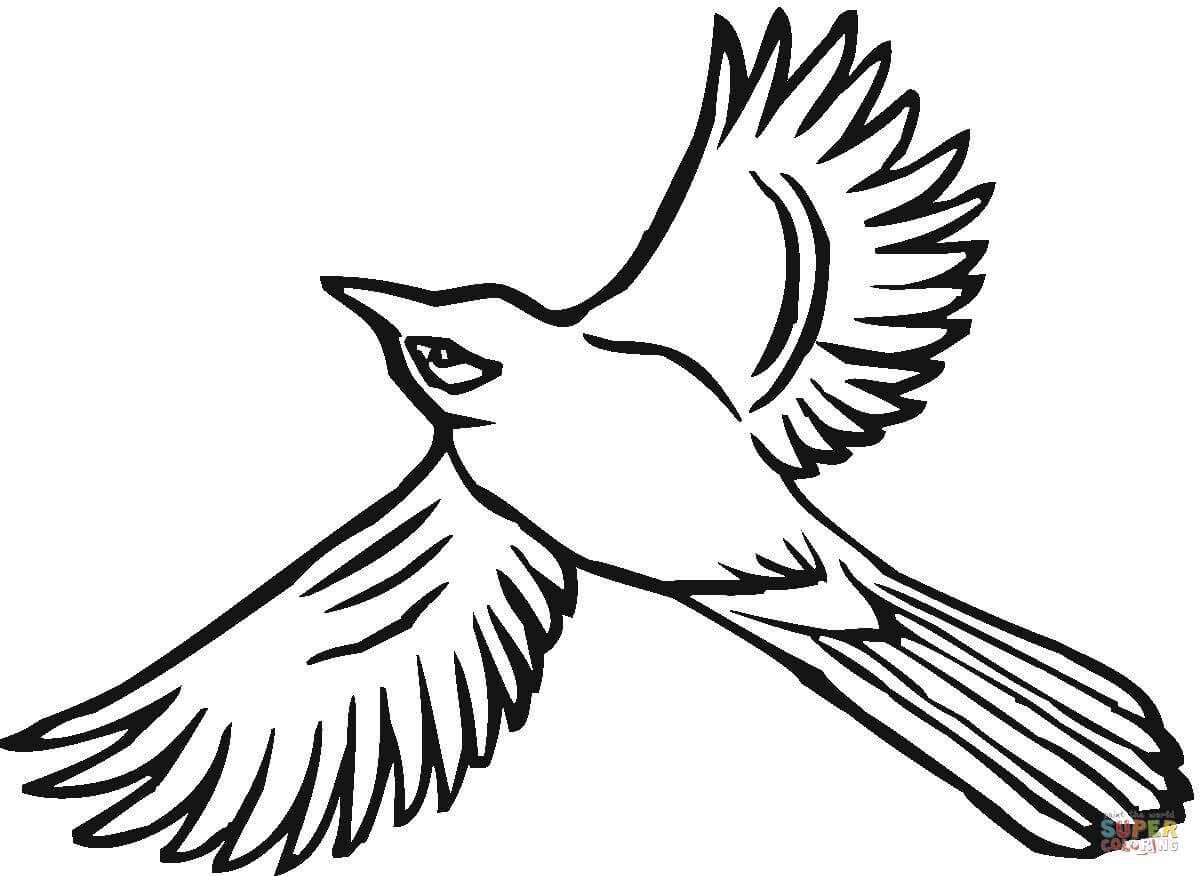 1200x876 Blue Jays Logo Colouring Pages Jay Coloring Toronto Baseball