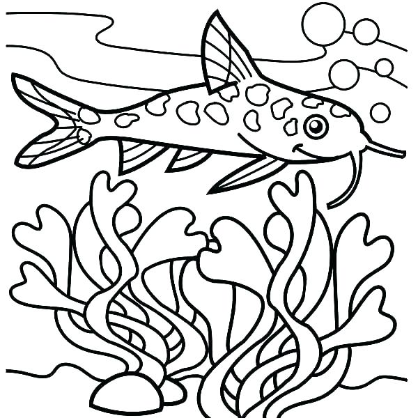 600x600 Basic Coloring Pages Basic Coloring Pages Basic Coloring Pages