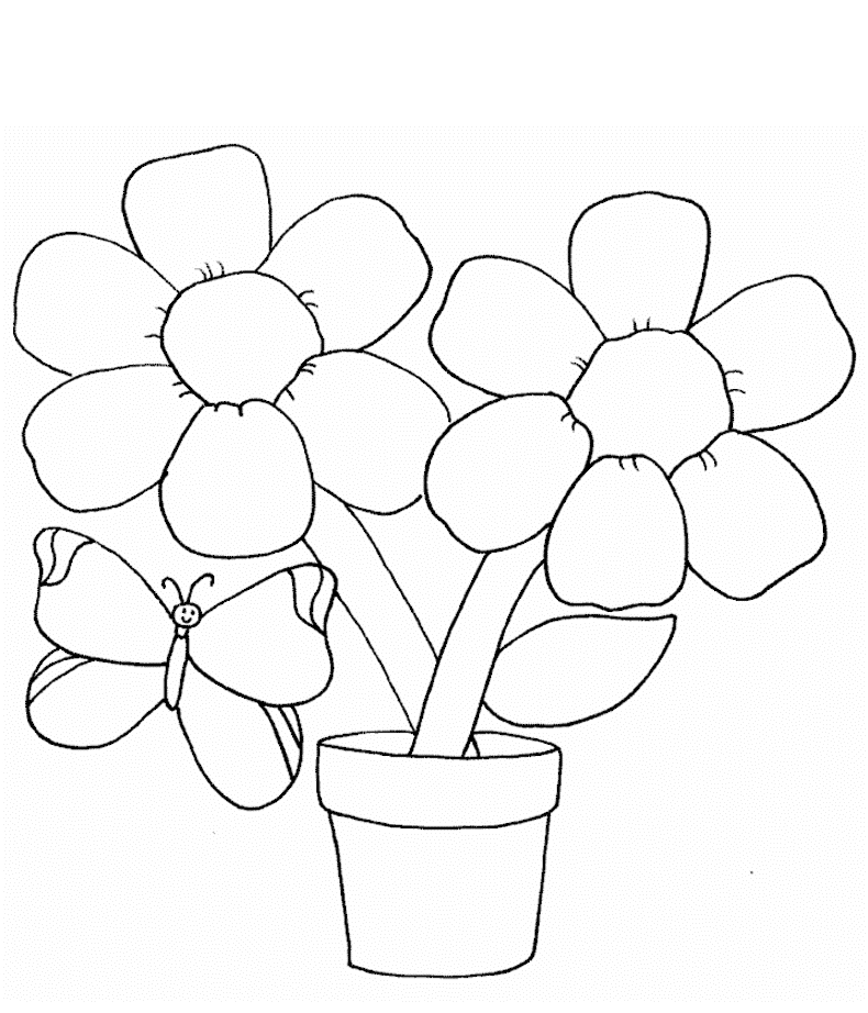 790x922 Flowers To Colour