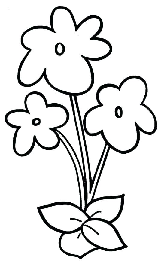 546x900 Easy Flower Coloring Pages Easy Violet Flower Coloring Page