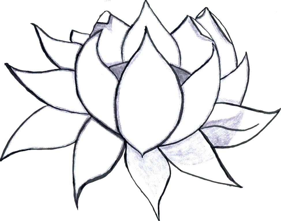 974x765 Easy Flower Coloring Pages Patterns Coloring Pages Easy Easy