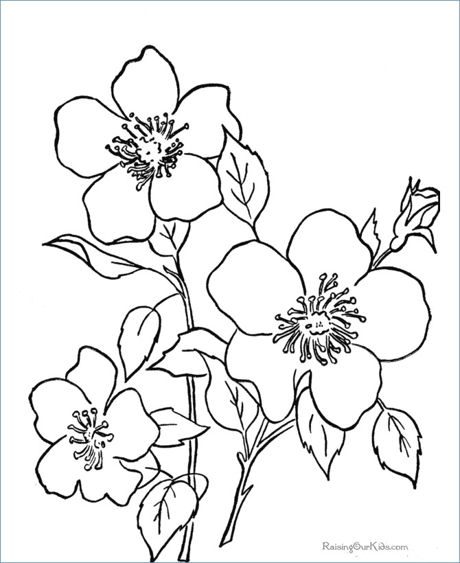 670x820 Easy Printable Flower Coloring Pages