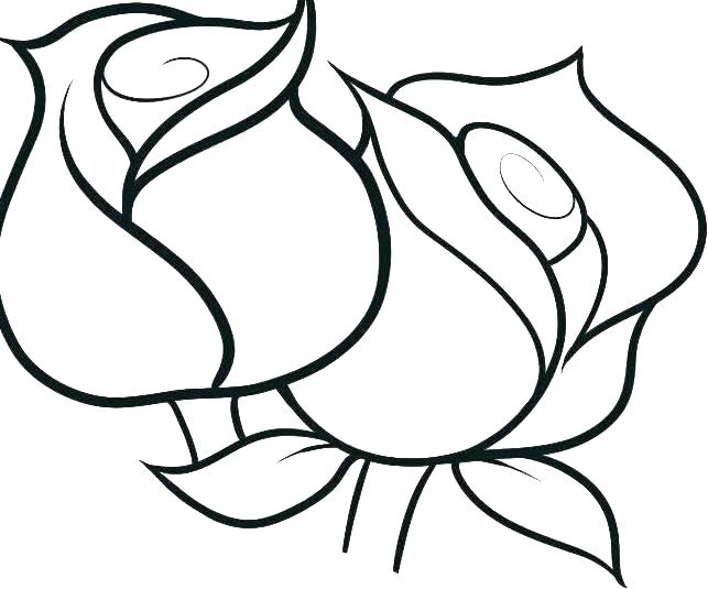643x535 Free Printable Hawaiian Flowers Flowers Coloring Pages Flowers