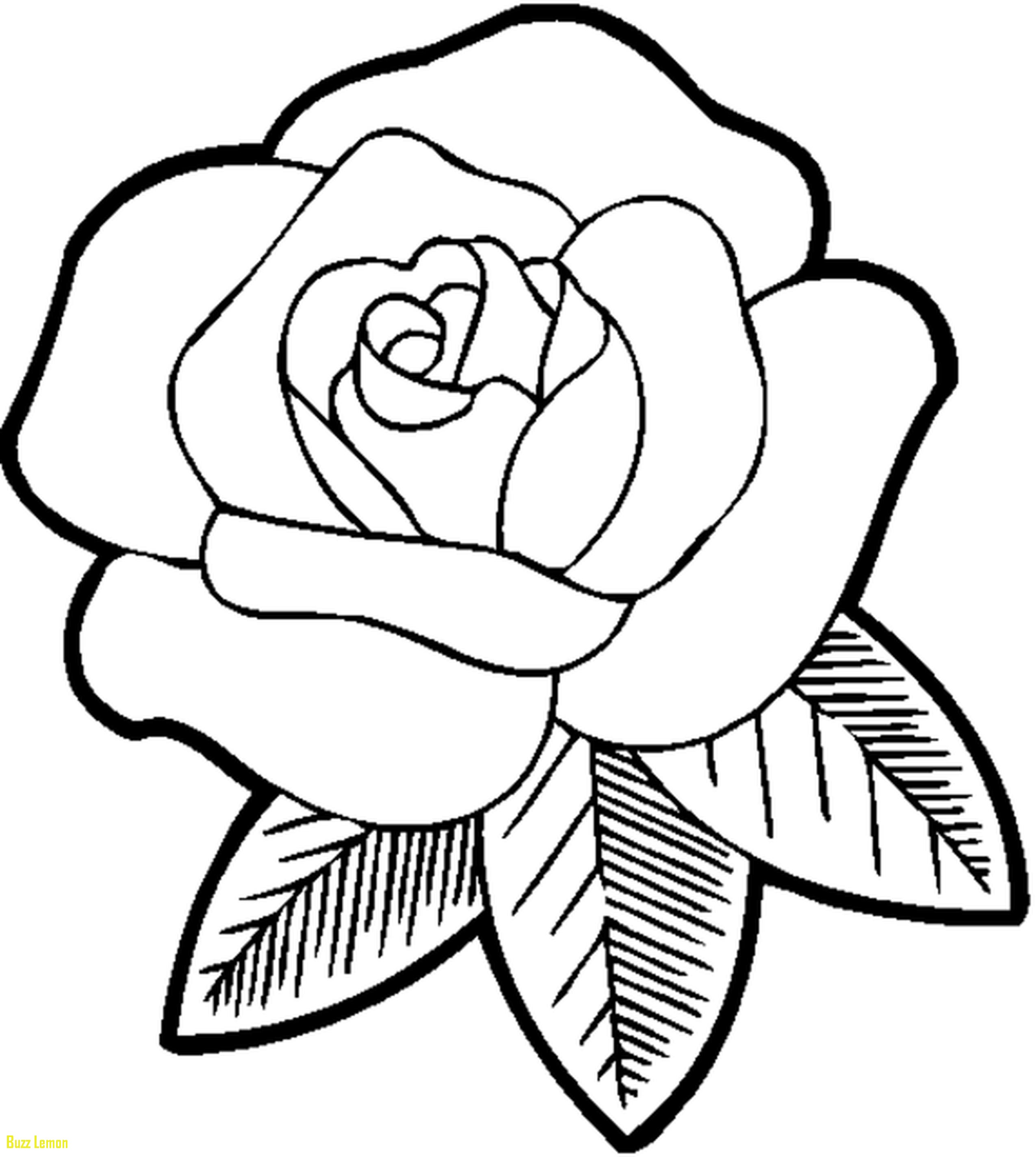 2550x2849 Easy Coloring Best Of Easy Flower Coloring Pictures Coloring Page