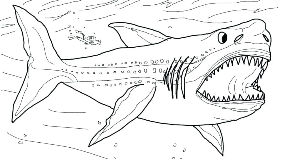 960x544 Mako Shark Coloring Page Shark Printable Pencil And In Color Shark