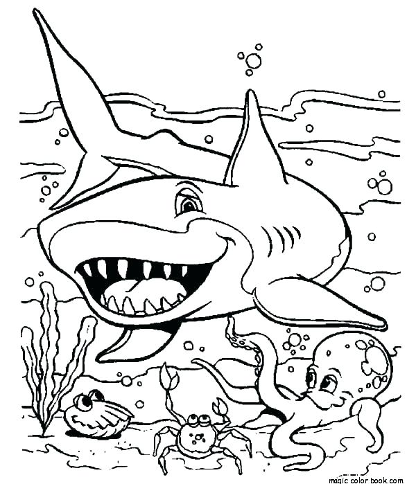 600x699 Whale Shark Coloring Page Shark Color Pages Shark Color Pages Pin