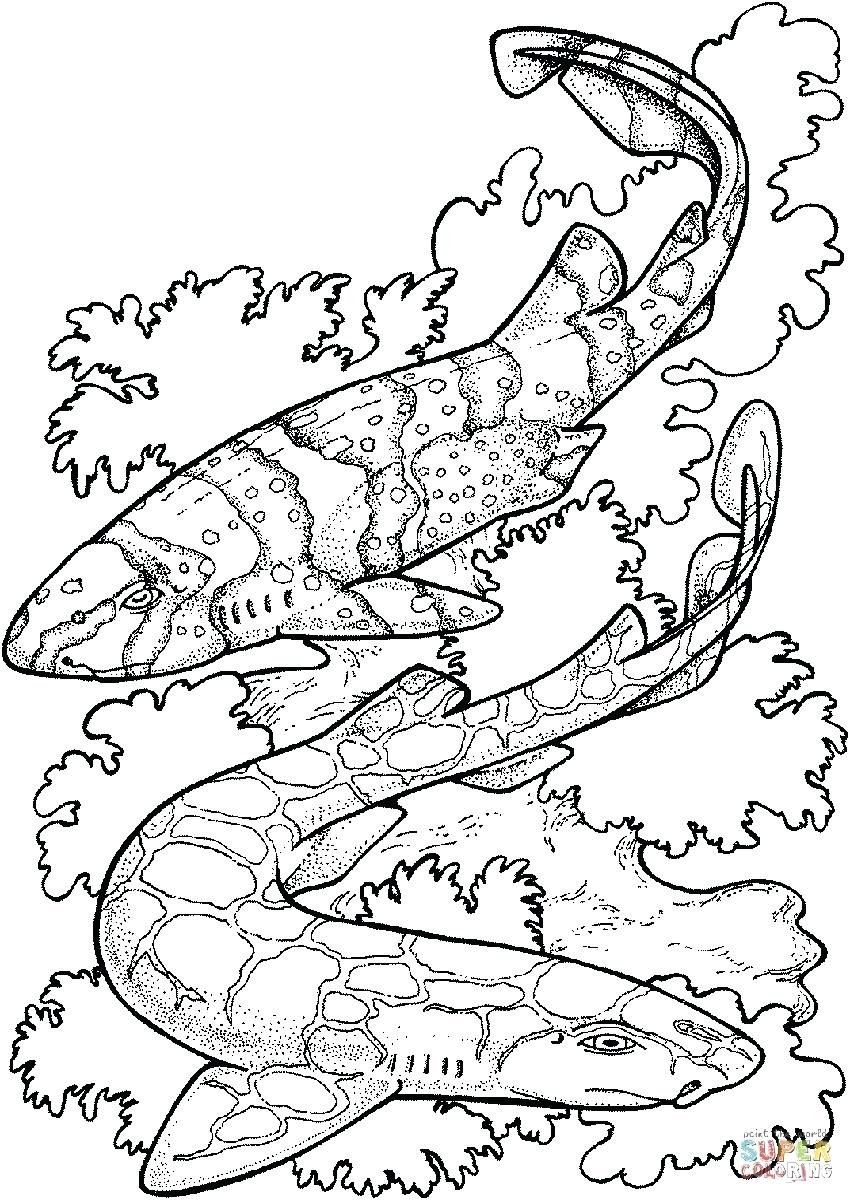 850x1200 Coloring Pages ~ Shark Coloring Page Pages Printable Free Shark