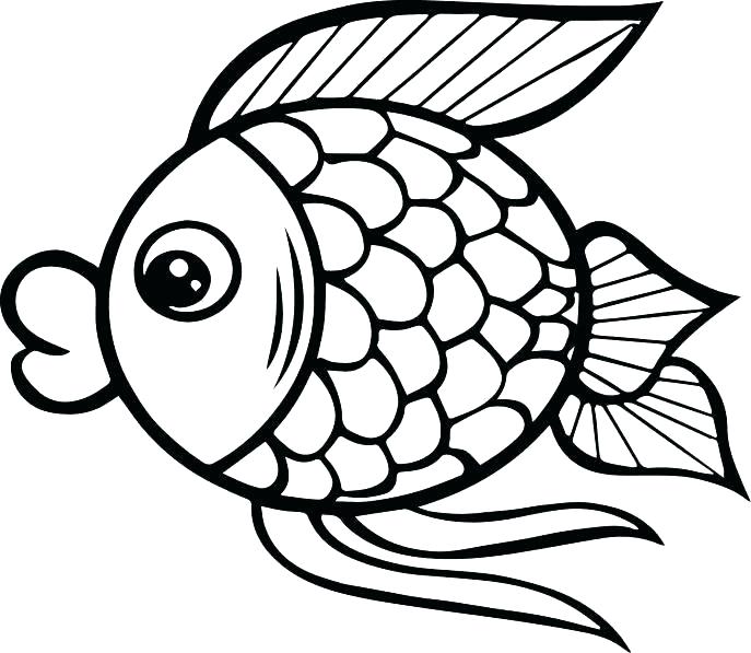 687x597 Bass Coloring Pages Tropical Fish Coloring Pages For Adults Bass