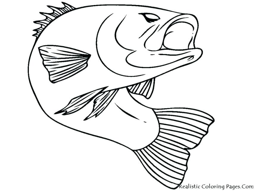 863x647 Bass Coloring Pages Bass Fish Picture Coloring Pages Bass Coloring