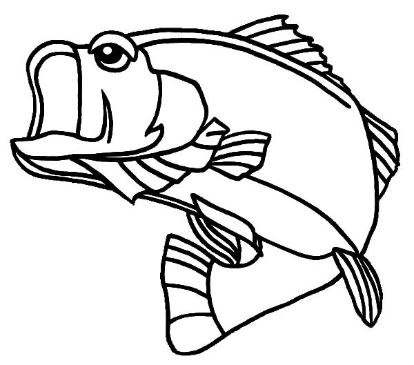 600x529 Georgia Largemouth Bass Fish Coloring Pages Best Place To Color