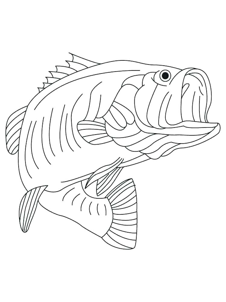 750x1000 Bass Coloring Pages Bass Coloring Pages Bass Coloring Pages Basses