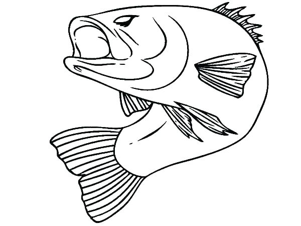 600x450 Double Bass Coloring Page