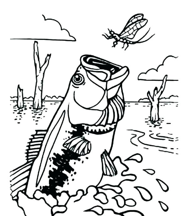 600x687 Bass Coloring Pages Striped Bass Coloring Page Free Bass Fish
