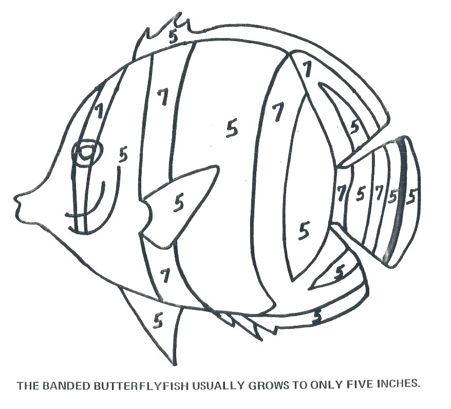 878x796 Bass Fish Jumping Coloring Pages River Bass Fishing Fish Coloring