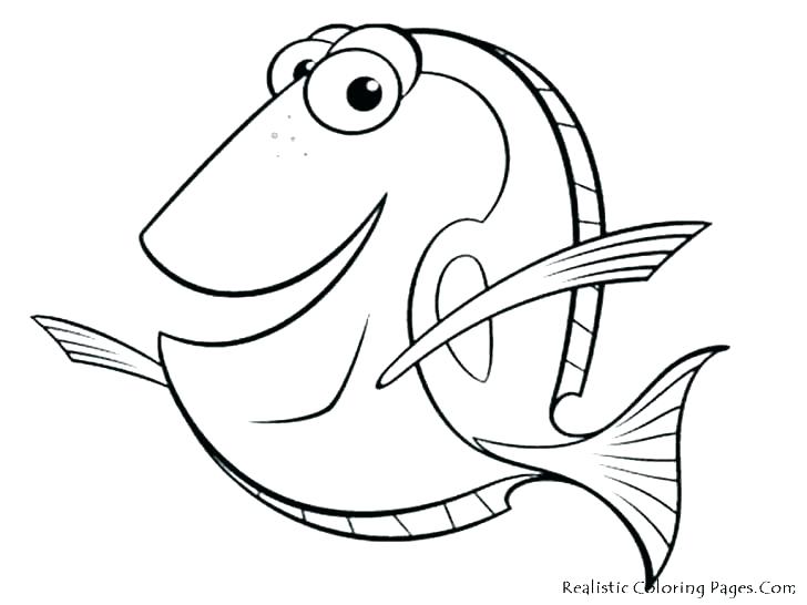 728x546 Bass Fishing Coloring Pages Printable Coloring Free Fish Coloring