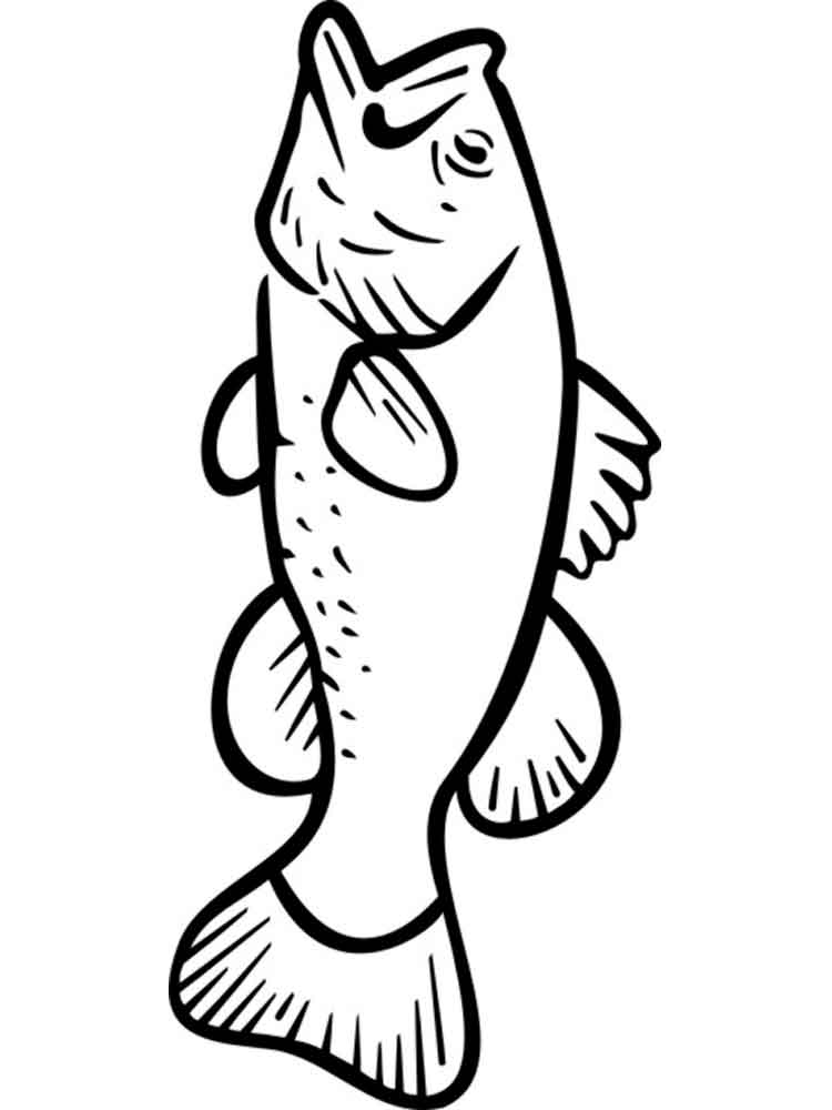 750x1000 Bass Fish Coloring Pages. Download And Print Bass Fish Coloring Pages.