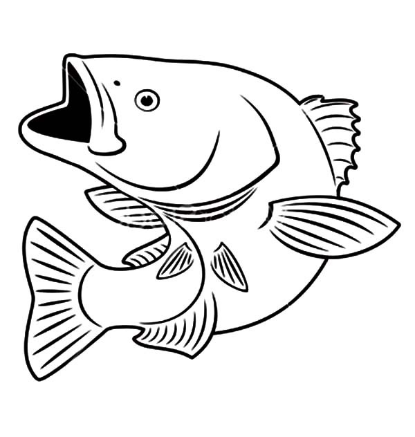 600x632 Sniper Bass Fish Coloring Pages Best Place To Color