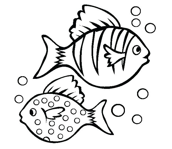 650x565 Bass Coloring Pages