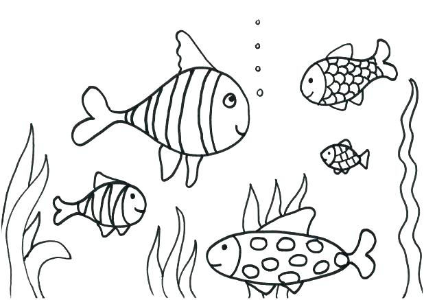 618x437 Bass Fish Coloring Pages Remarkable Bass Fish Coloring Pages Image
