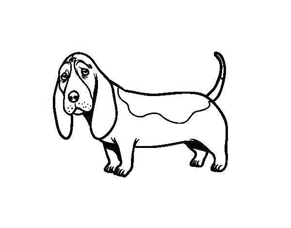 600x470 Basset Hound Coloring Pages Coloring Page Of Cartoon Basset Hound