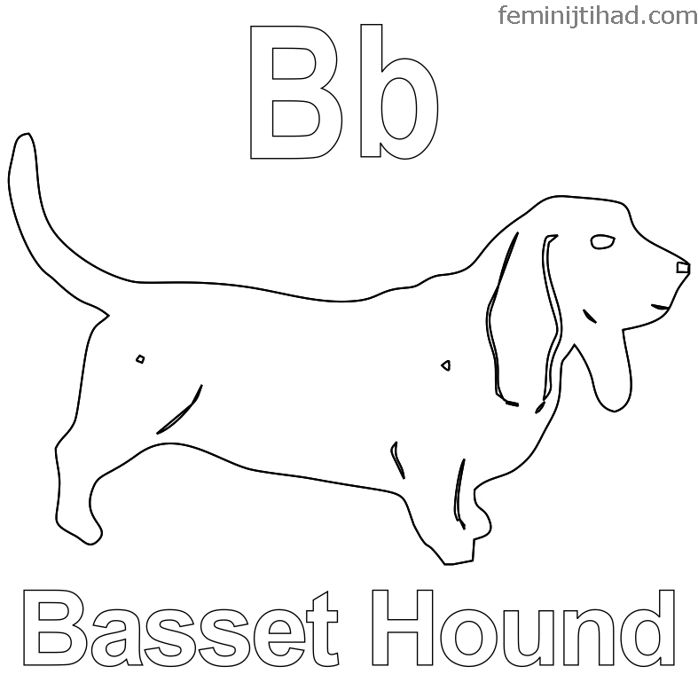 787x787 Basset Hound Coloring Pages Printable Coloring Pages For Kids