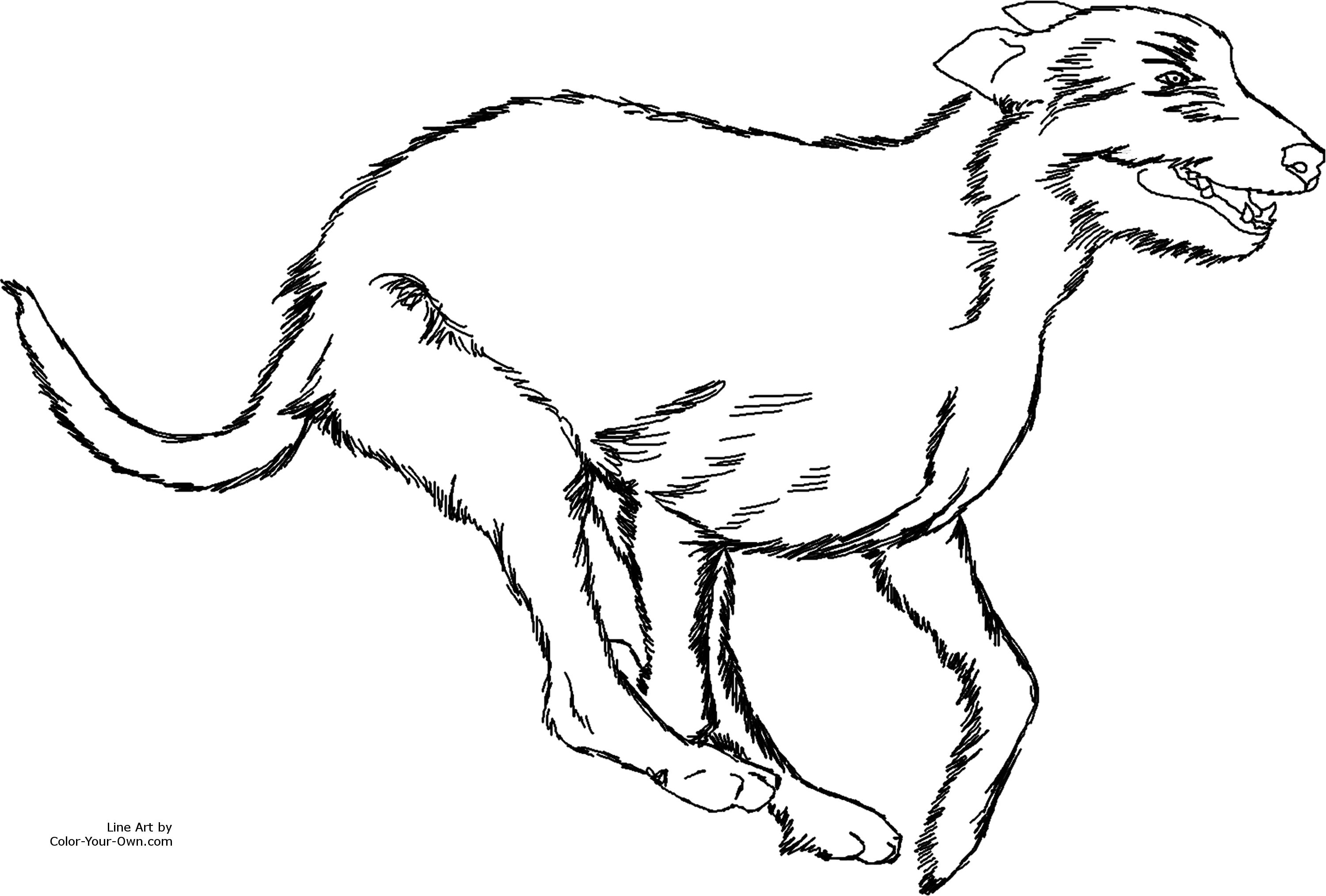 3000x2029 New Basset Hound Coloring Page