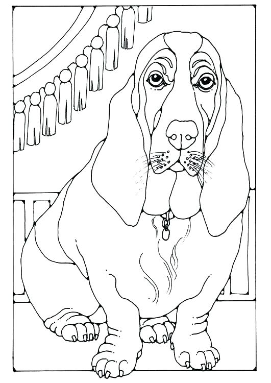 531x750 Basset Hound Coloring Pages
