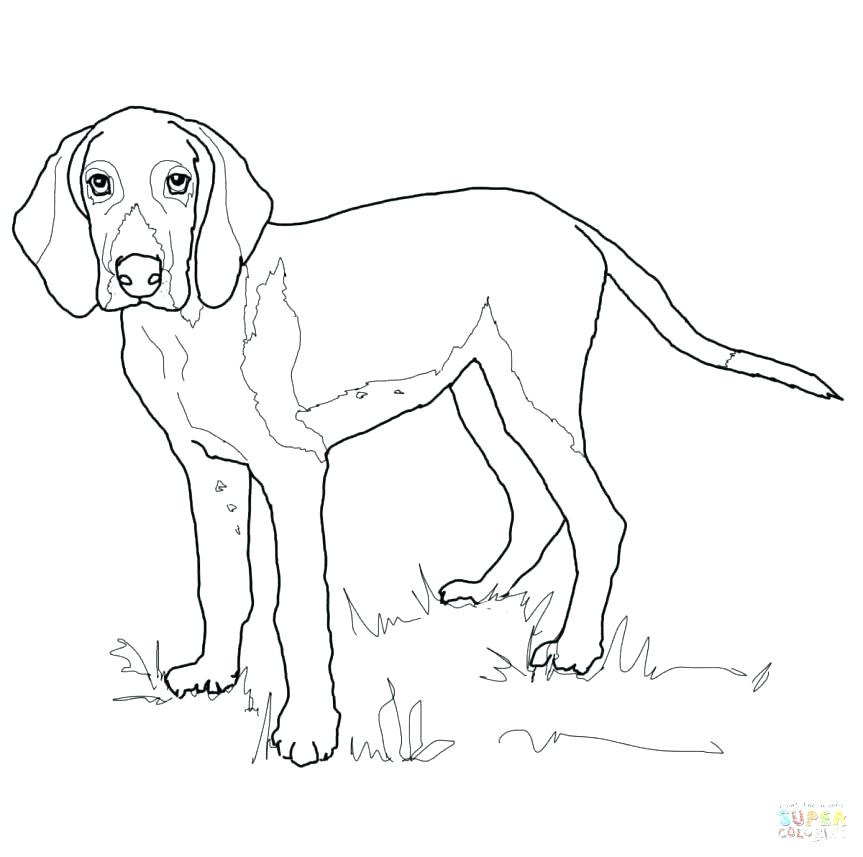 863x857 Basset Hound Coloring Pages Basset Hound Coloring Pages Basset