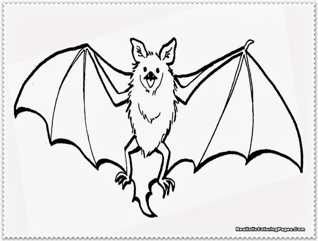 1066x810 Excellent Bat Coloring Pages Realistic With Bat Coloring Pages