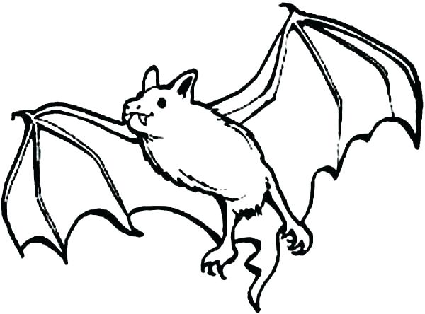 600x444 Bat Coloring Pages Bat Coloring Bat Coloring Pages Together