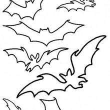Bat Coloring Pages Free