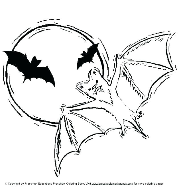 628x660 Bats Coloring Pages Free Printable Vampire Bat Coloring Bats