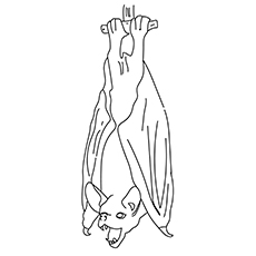 230x230 Top 20 Free Printable Bats Coloring Pages Online