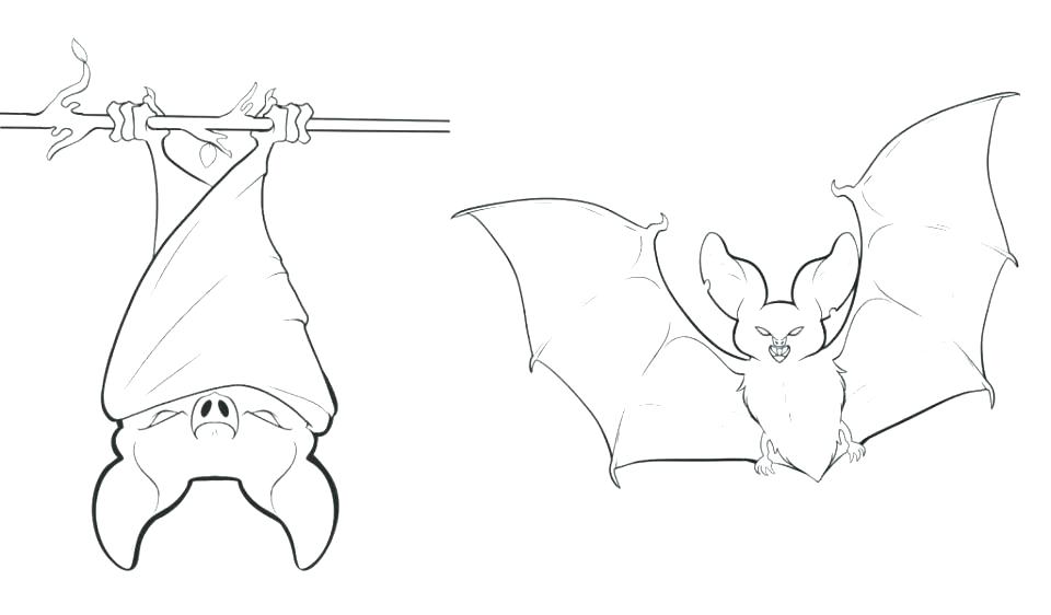 960x562 Vampire Bat Coloring Page Coloring Pages Bat Bat Coloring Pages