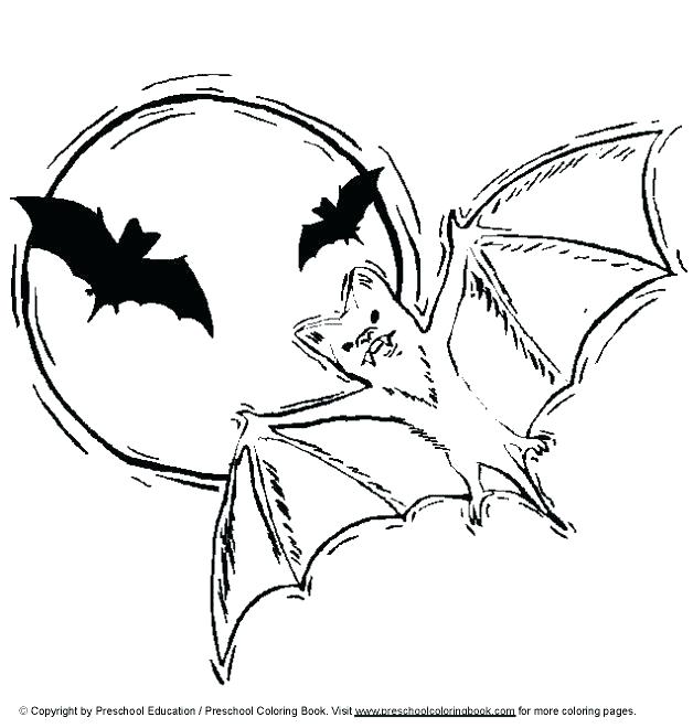 628x660 Coloring Bats Bat And Spiders Mammals Bats Coloring Pages Cute