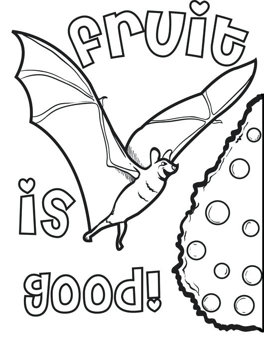 530x700 Fruit Printable Coloring Pages Bat Eating Fruit Coloring Page