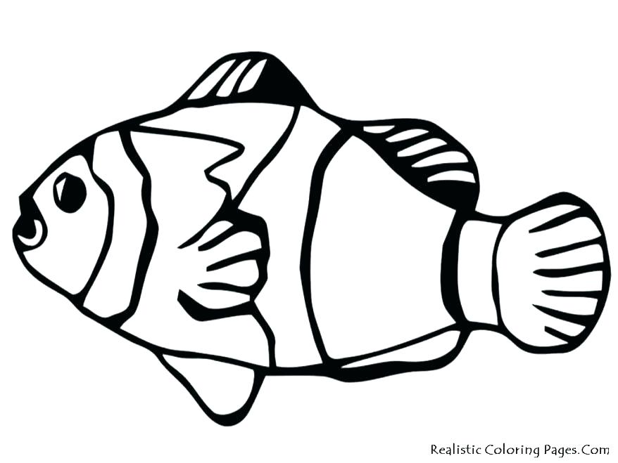 878x659 Batman Symbol Coloring Page Batman Logo Coloring Pages Batman