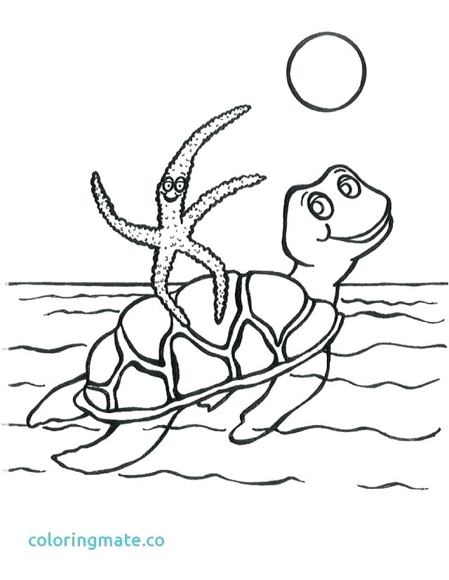 640x827 Swimming Coloring Pages Barbie Bathing Suit Coloring Pages