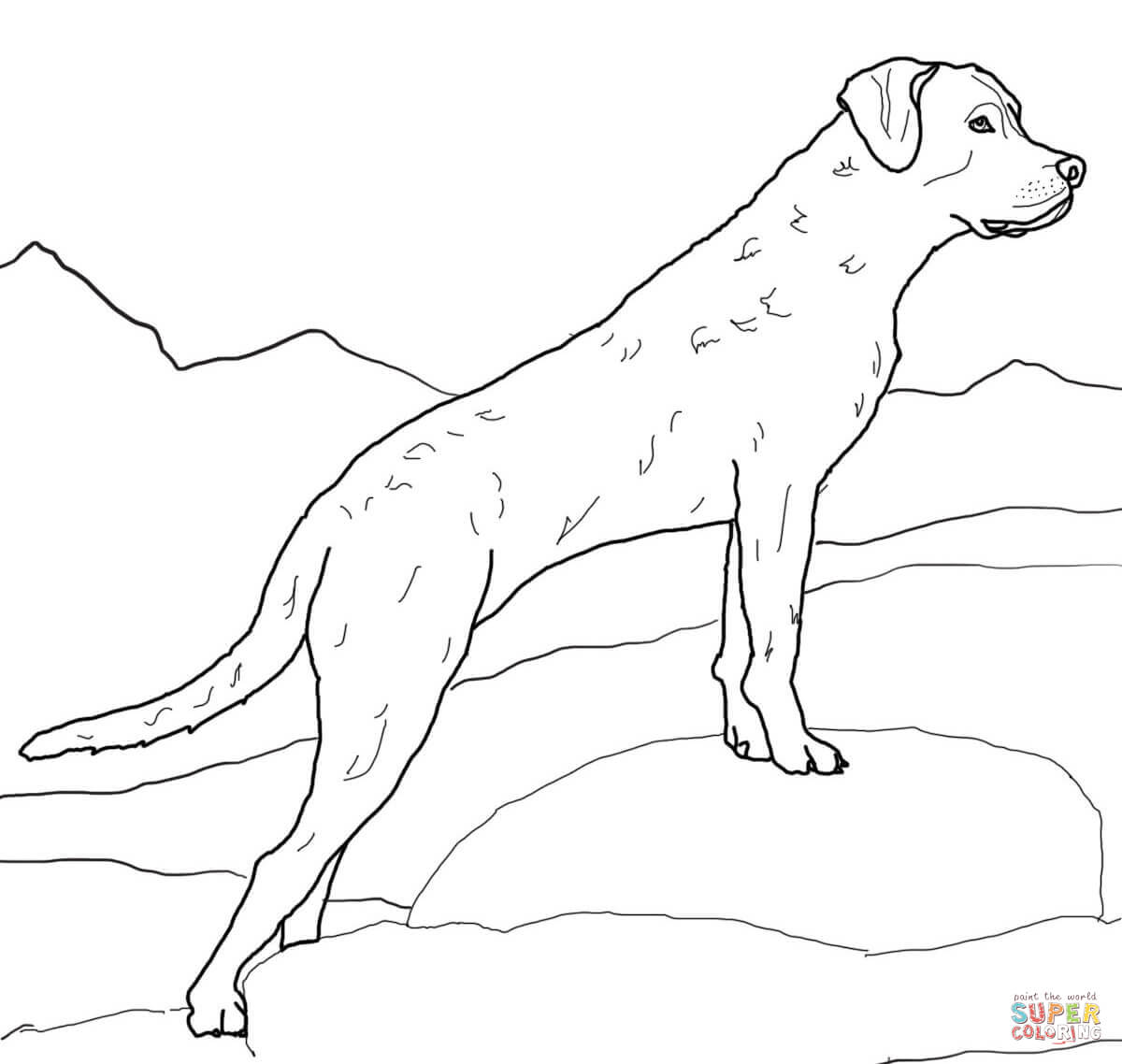 1200x1138 Chesapeake Bay Coloring Page Chihuahua Pages