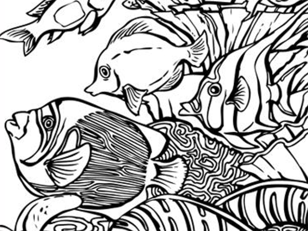 600x450 Coral Coloring Pages Free Printable Coral Coloring Pages Pata Sauti