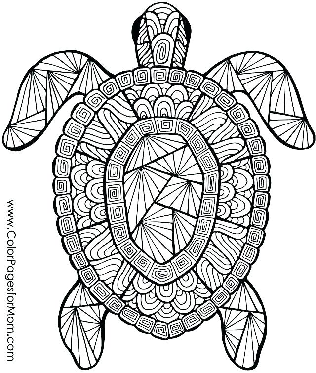 640x755 Intricate Coloring Books Intricate Coloring Books Together
