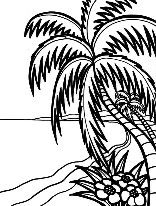600x794 Hawaii Amazing Beach Coloring Pages Coloring Sun