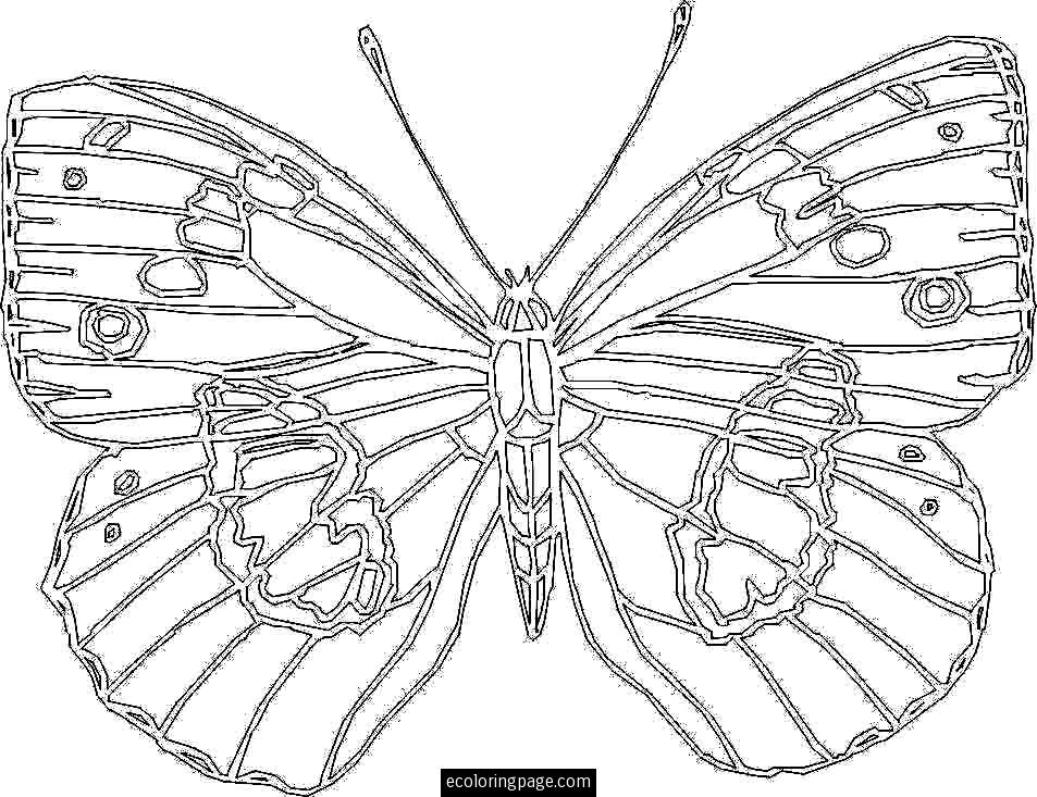 953x733 Beach House Coloring Pages Coloring Pages Wallpaper