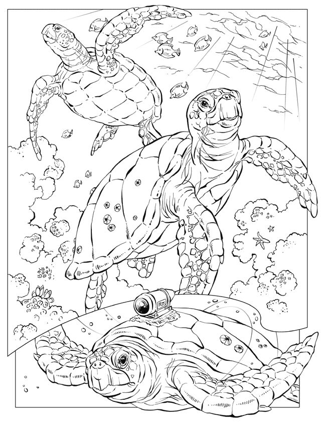 Beach Items Coloring Pages