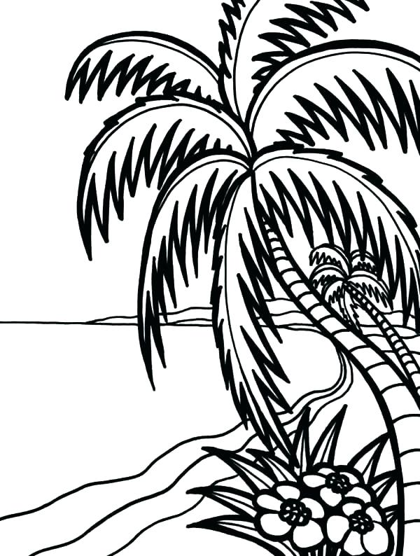 600x794 Hawaii Coloring Page Coloring Page Coloring Pages Coloring Pages