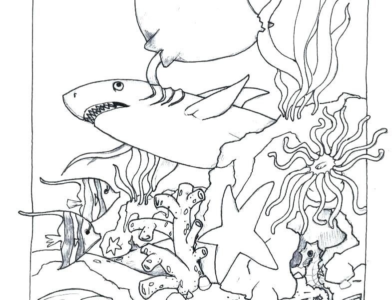 785x600 Ocean Scene Coloring Page Ocean Scene Coloring Page Coloring Pages